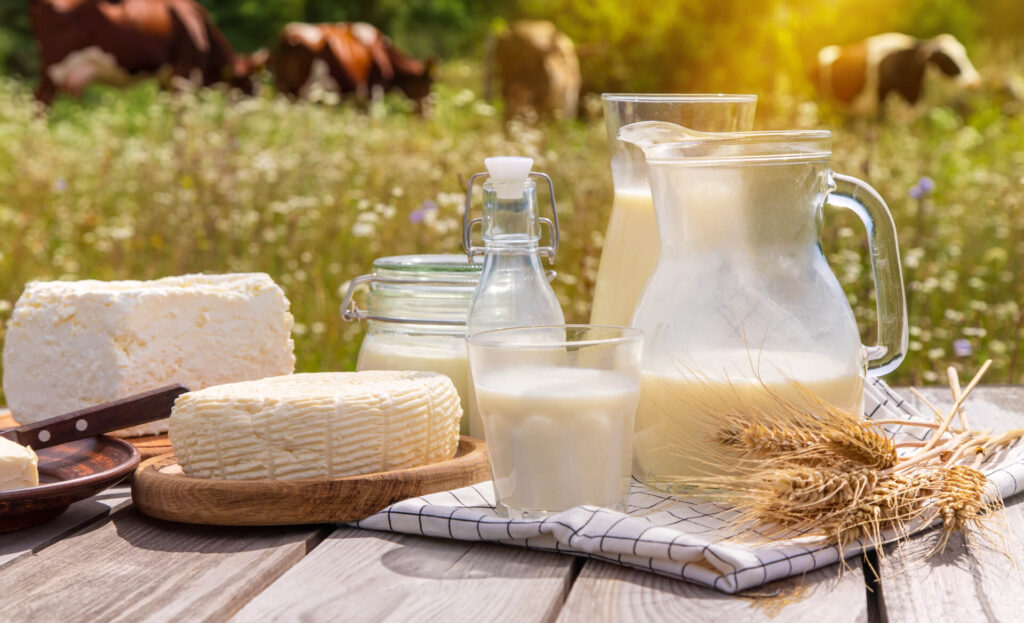 Избор на млечни продукти с ясен състав и проследим произход